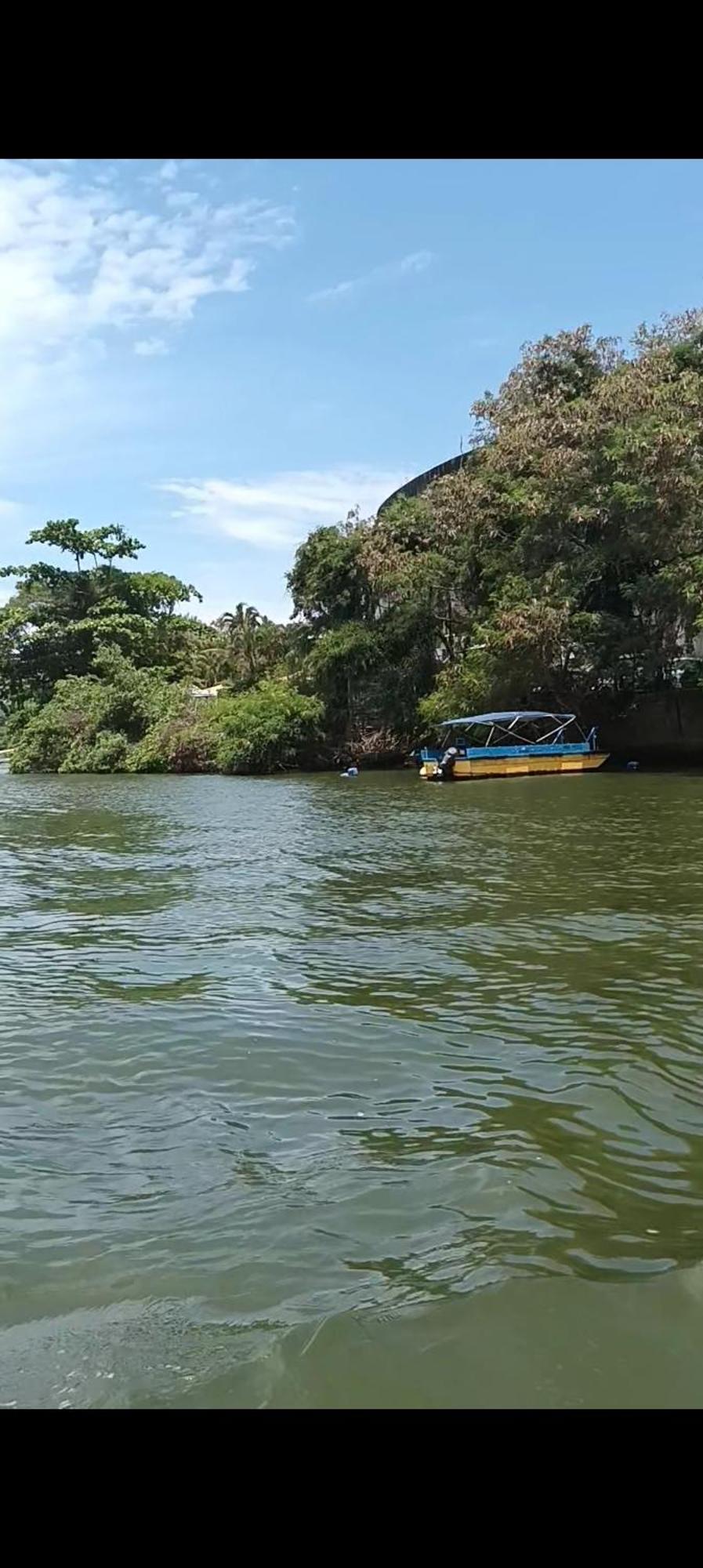 Ape Barra Rio de Janeiro